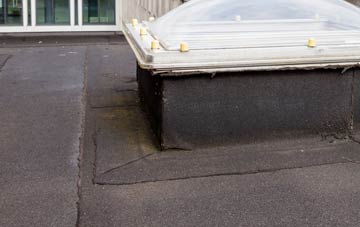 disadvantages of Twyn Shon Ifan flat roofs