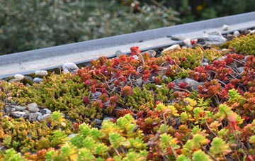 the cost of Twyn Shon Ifan green roof installation