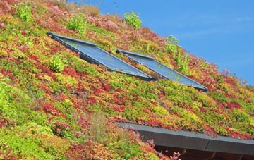 Twyn Shon Ifan living roof systems