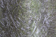 Twyn Shon Ifan fibreglass roof work